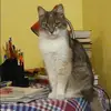 Отзыв от Нелли Рудакова